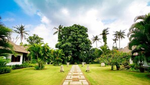 A pathway leading to a large tree, surrounded by palm trees and greenery. - Bali Hidden Paradise Villa (Seminyak)