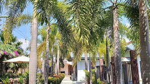 A pathway lined with palm trees leading to a building with a white facade and a red door. - Marand Family Resort (Bauang)