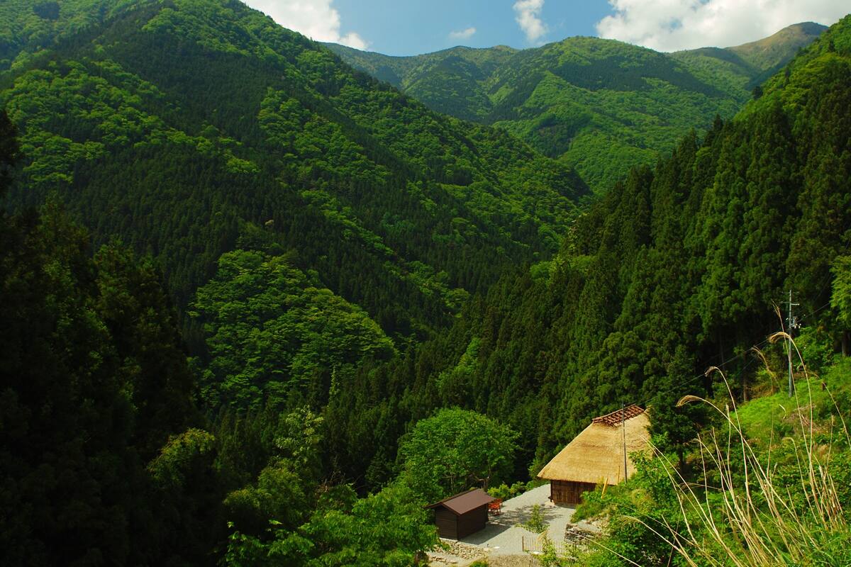 Une maison à toit de chaume, entourée d’une forêt dense et de montagnes.