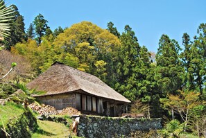 A rustic wooden house with a thatched roof, surrounded by lush greenery and tall trees.