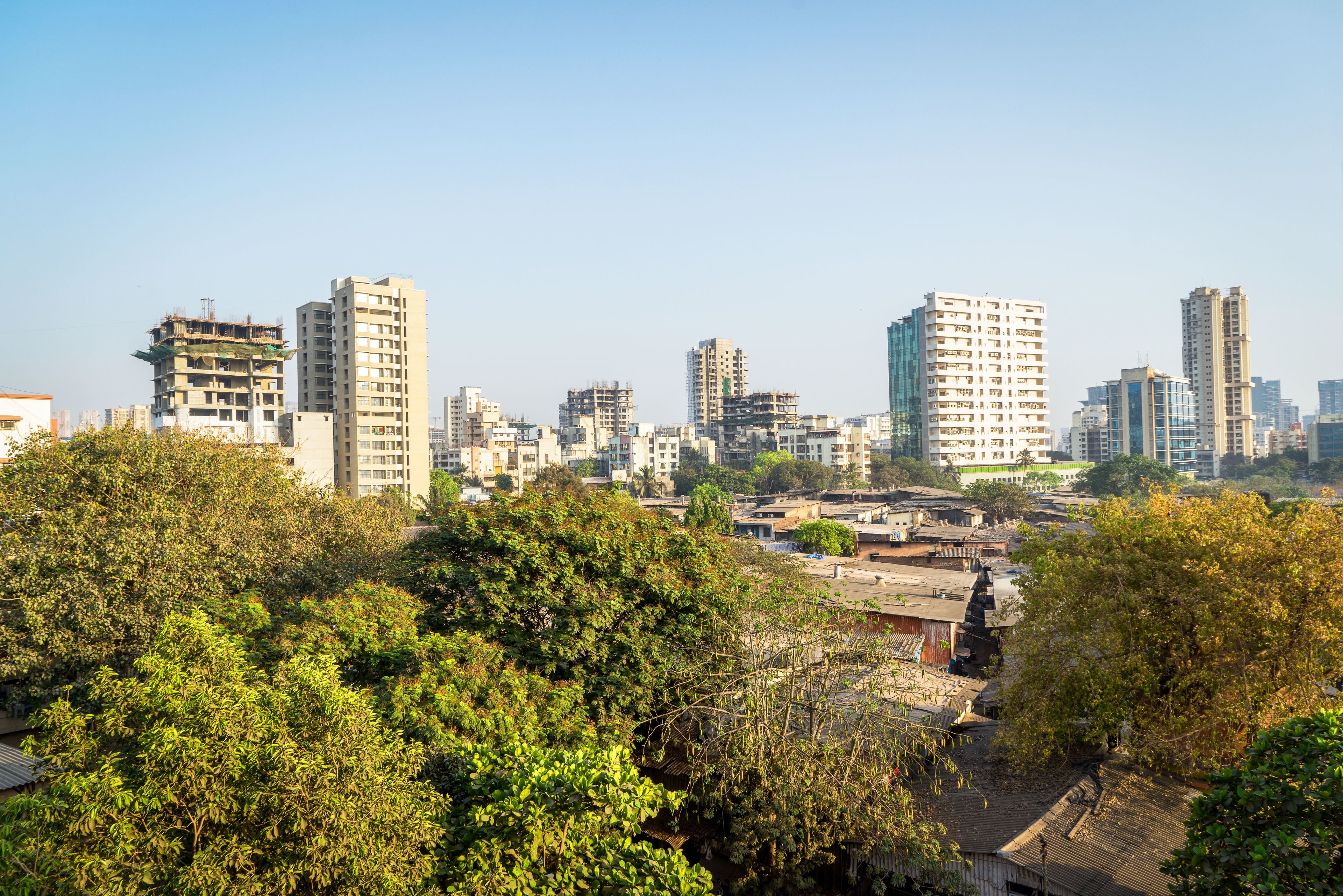 Photo - Treebo Olive Nest