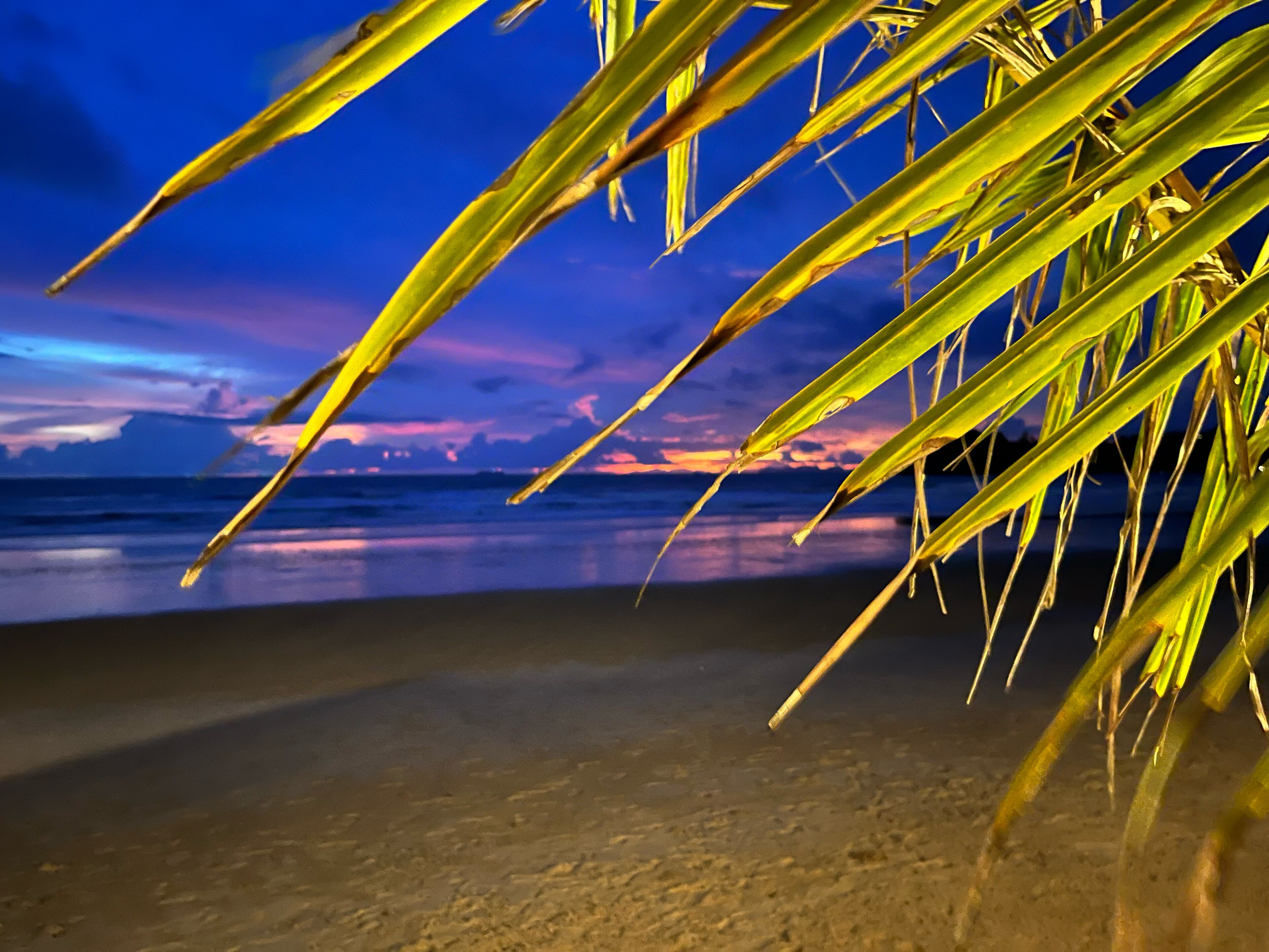 Foto - Noble House Beach Resort