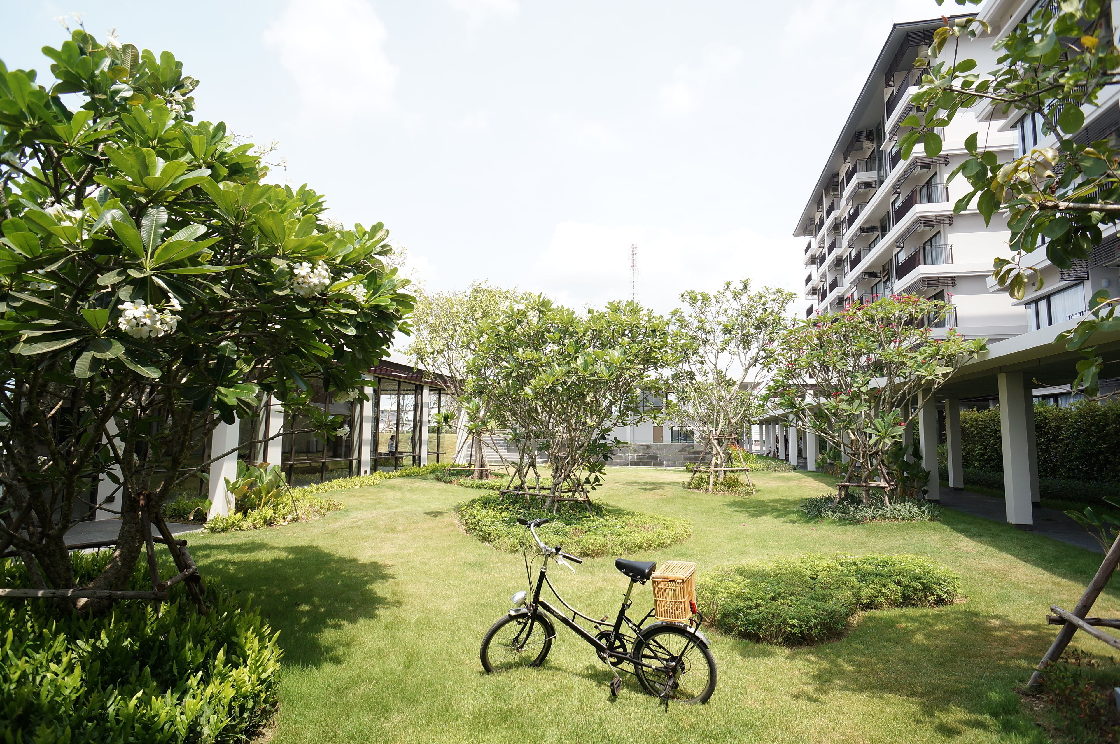 A bicycle parked in a well-maintained courtyard with greenery and a building in the background.