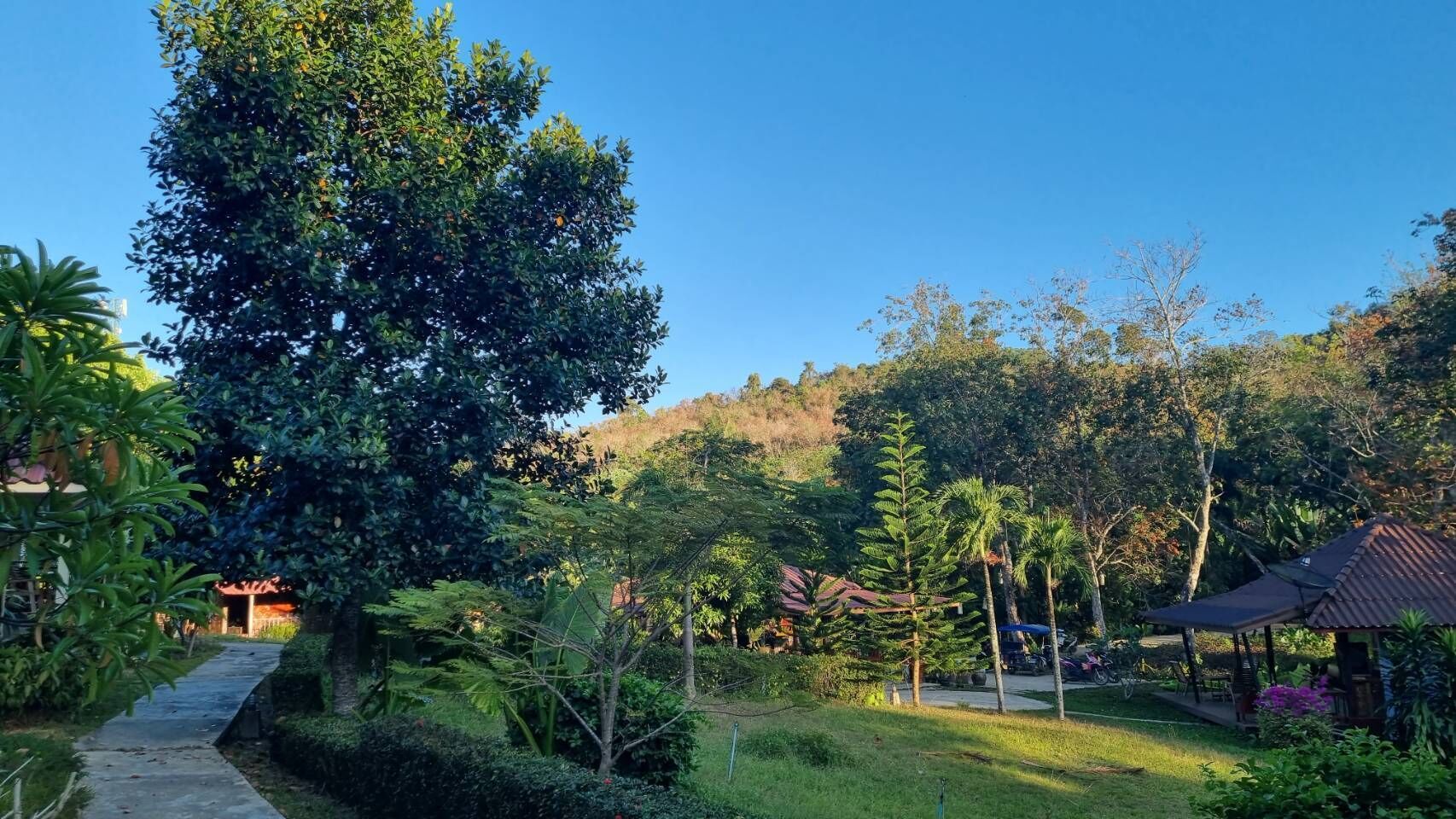 Un sendero atraviesa un jardín exuberante con un gran árbol, un pabellón y una colina al fondo.