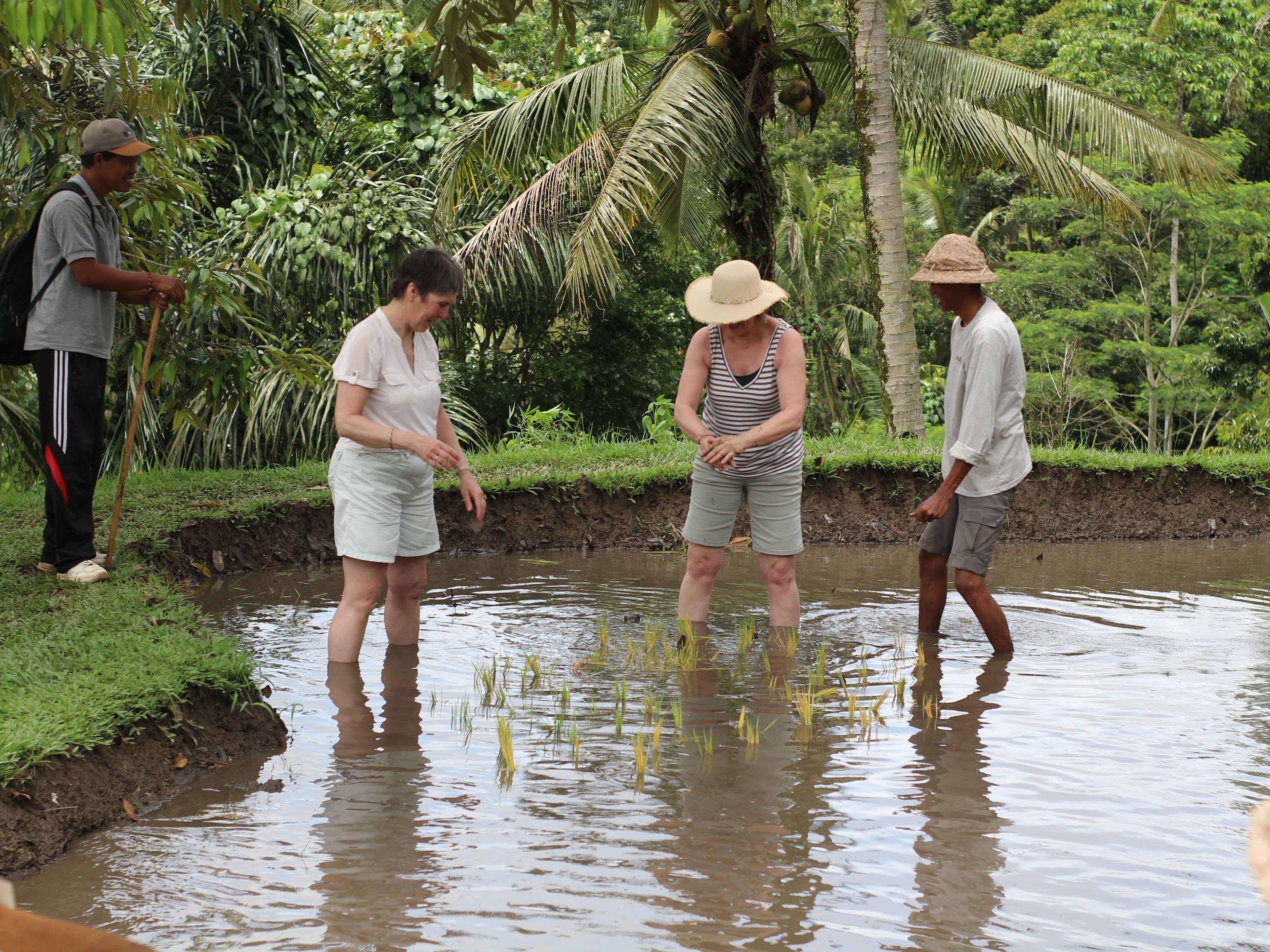 Three individuals standing in a waterlogged area with vegetation and a palm tree in the background.
