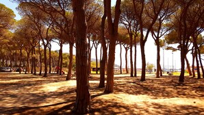 A park with tall trees, a playground, and a clear sky.