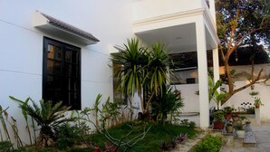 Edifici blanc amb una finestra negra i un porxo cobert ple de plantes en testos.
