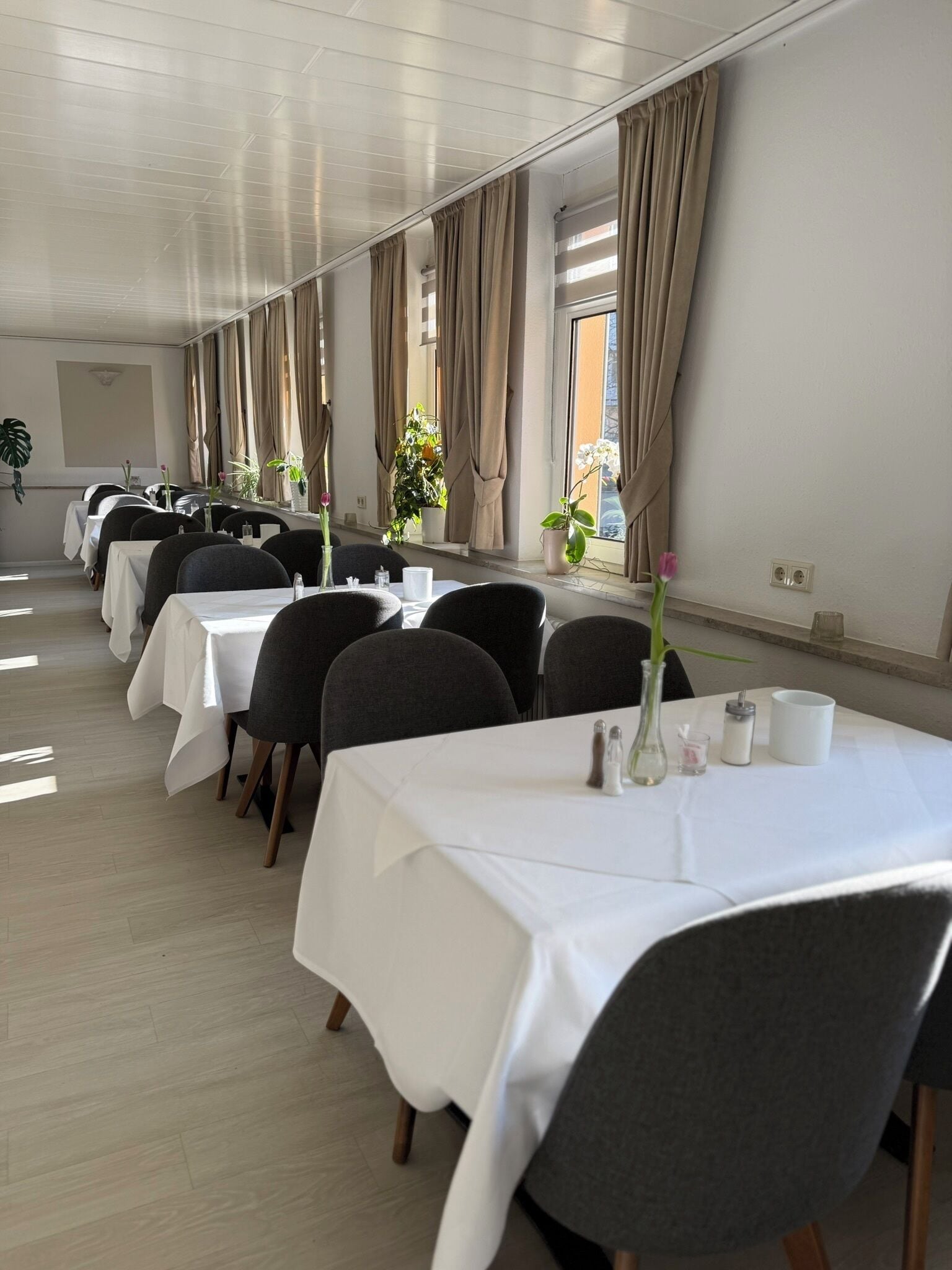 Un salón de conferencias con varias mesas, sillas y plantas en macetas.