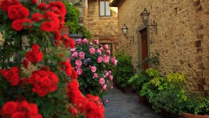 Vistas al patio