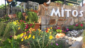 A stone wall with the name "MiTOS" and a garden with various flowers and plants. - Mitos Hotel (Bozcaada)