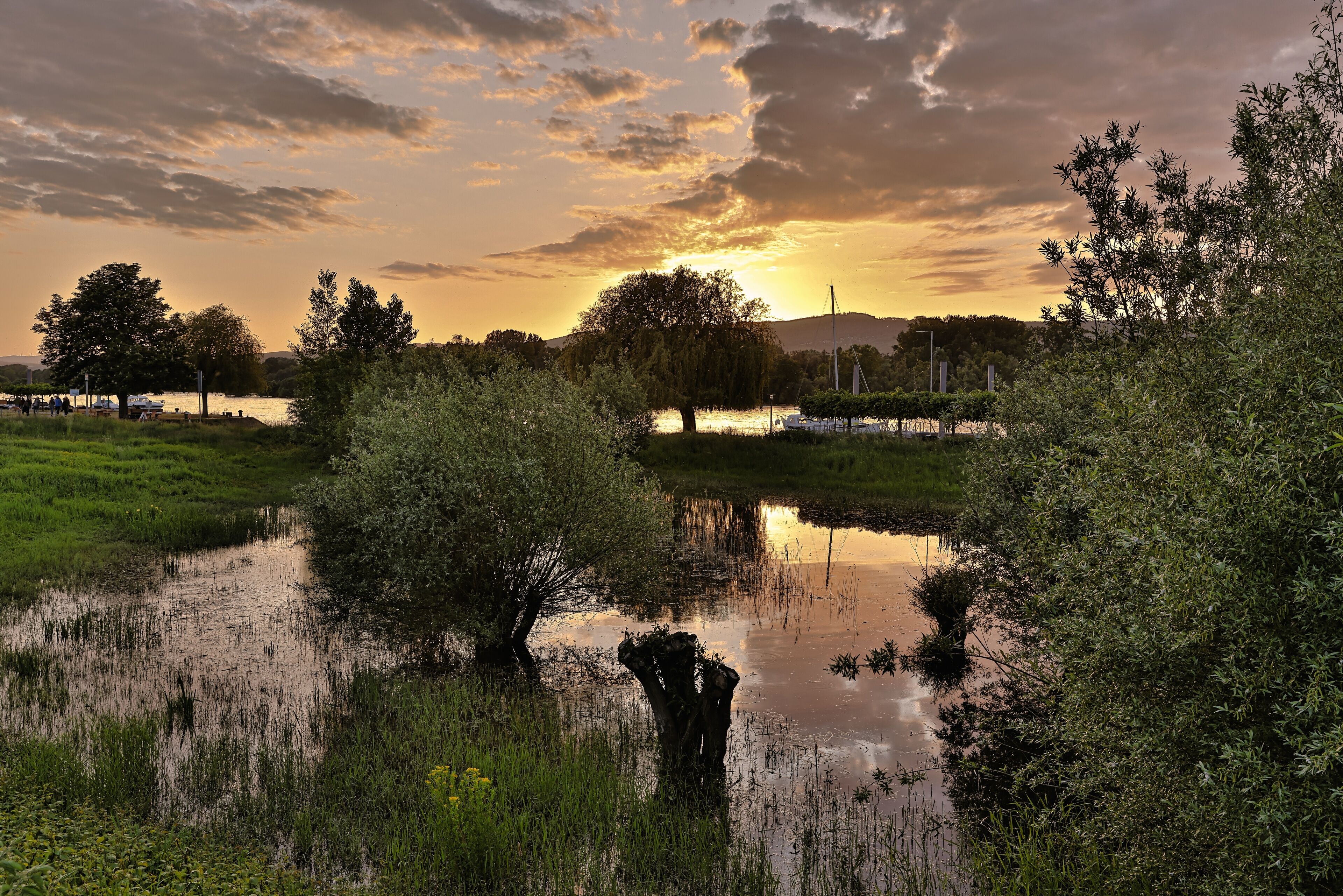 land view from property