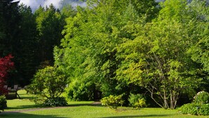 A lush green park with a mountain backdrop. - Hotel Alpenhof Grainau (Grainau)