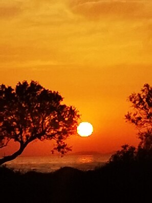 Standard Bungalow, 1 Bedroom | In-room safe, individually decorated, individually furnished, desk - Mare Nostrum Santo (Santorini)