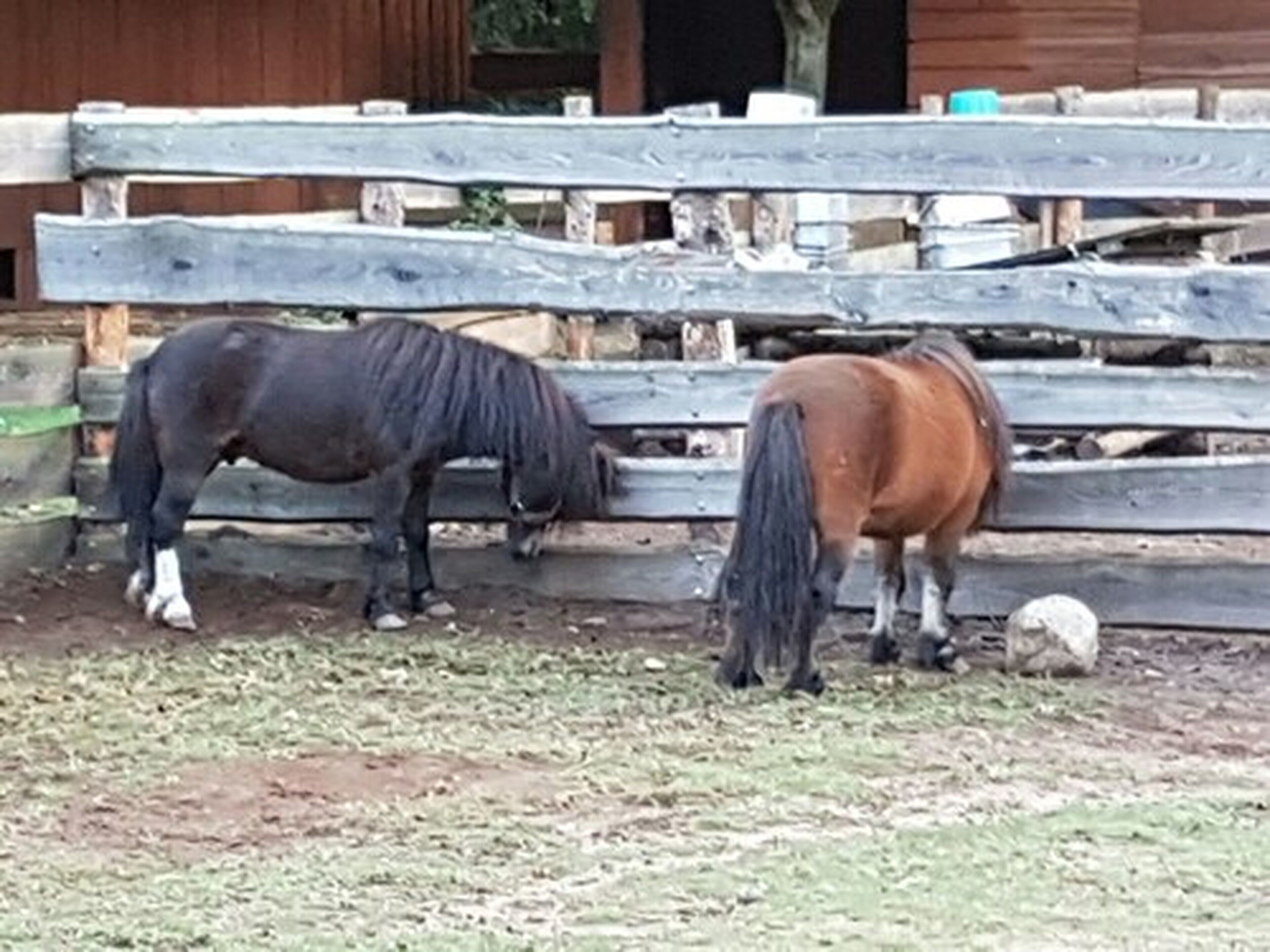 children’s activities