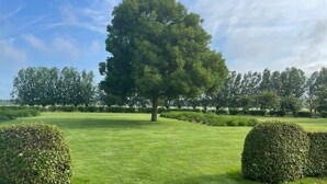 A well-maintained grassy area with a large tree and neatly trimmed bushes.