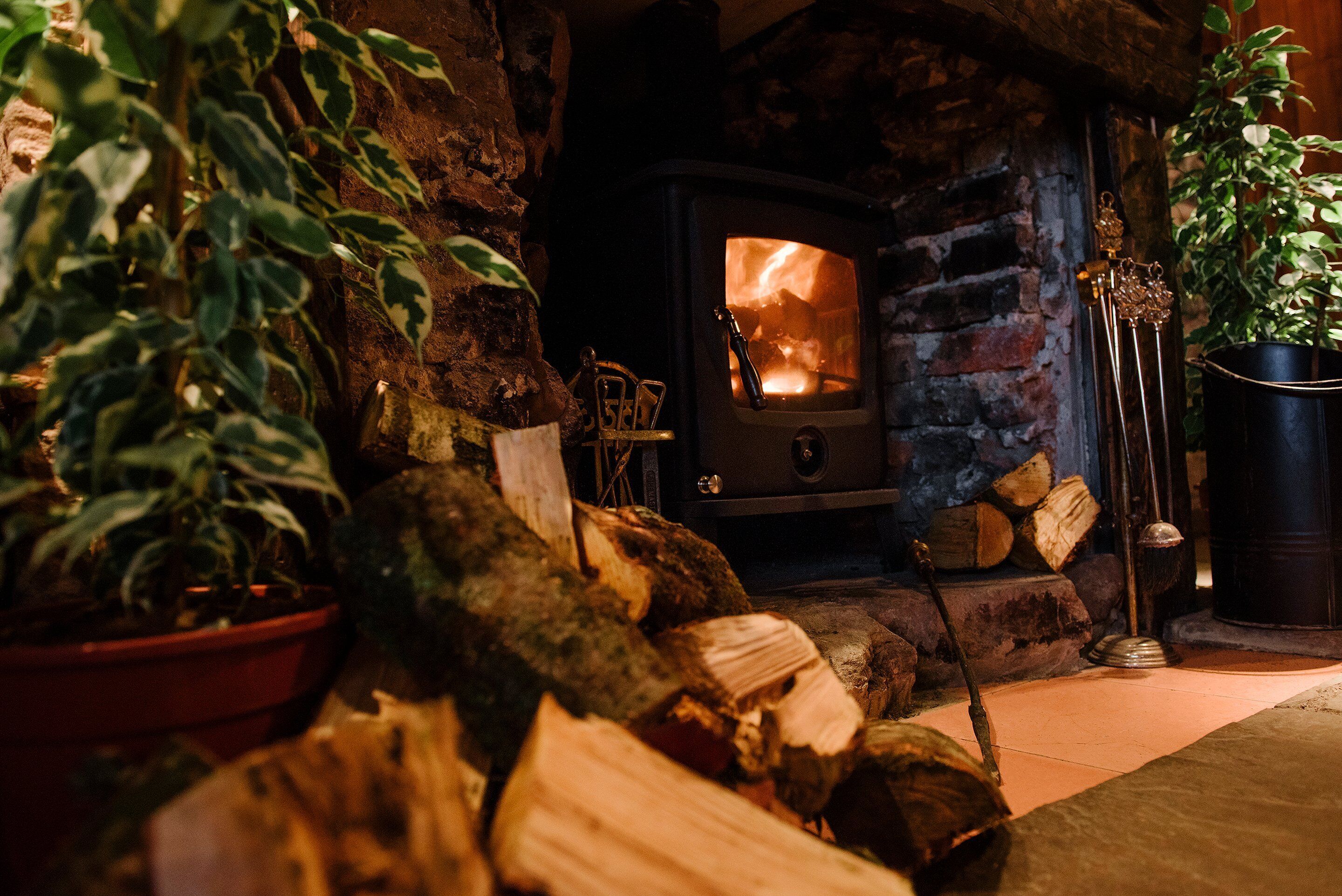 Ein rustikales Interieur mit Kaminofen, Holzscheiten und Topfpflanzen.