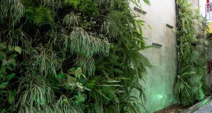 Hotel Boutique Casa Mia