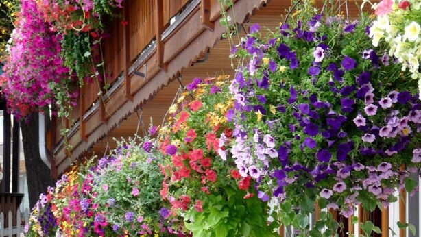 A wooden building with hanging flower baskets filled with various flowers. There are white plastic chairs and tables outside. - Gateway Motel (Radium Hot Springs)