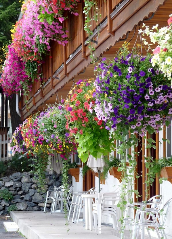 Outdoor dining - Gateway Motel (Radium Hot Springs)