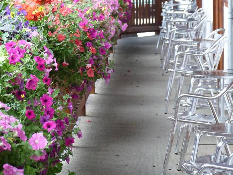 A covered outdoor seating area with metal chairs and a planter wall with colorful flowers.