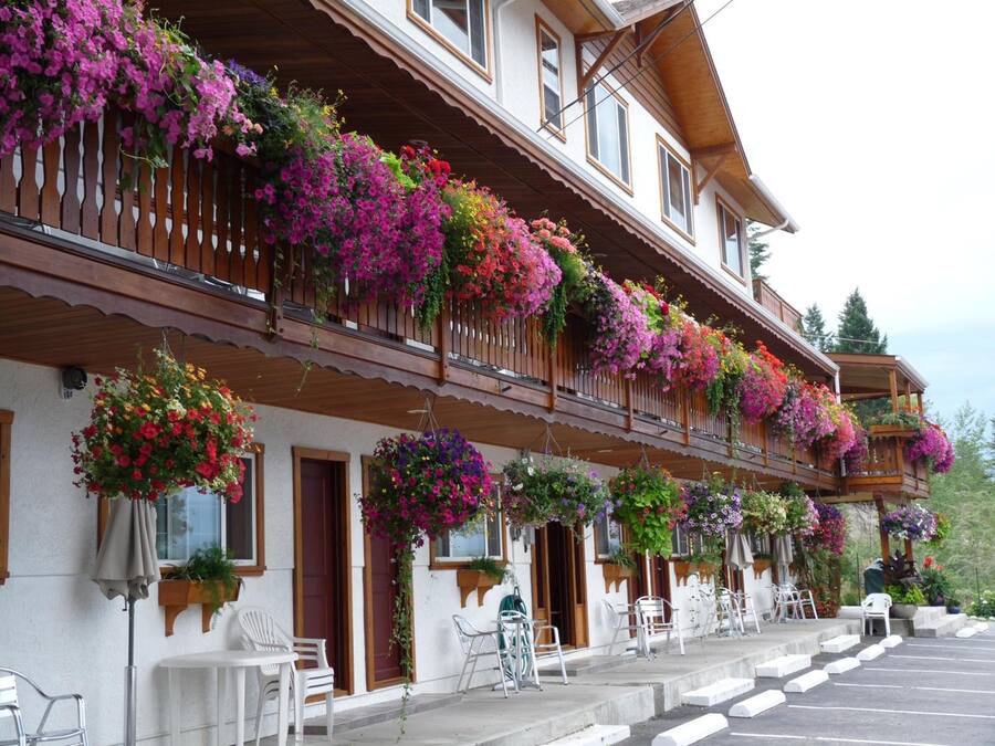 Un edificio con varios balcones decorados con macetas colgantes de flores.