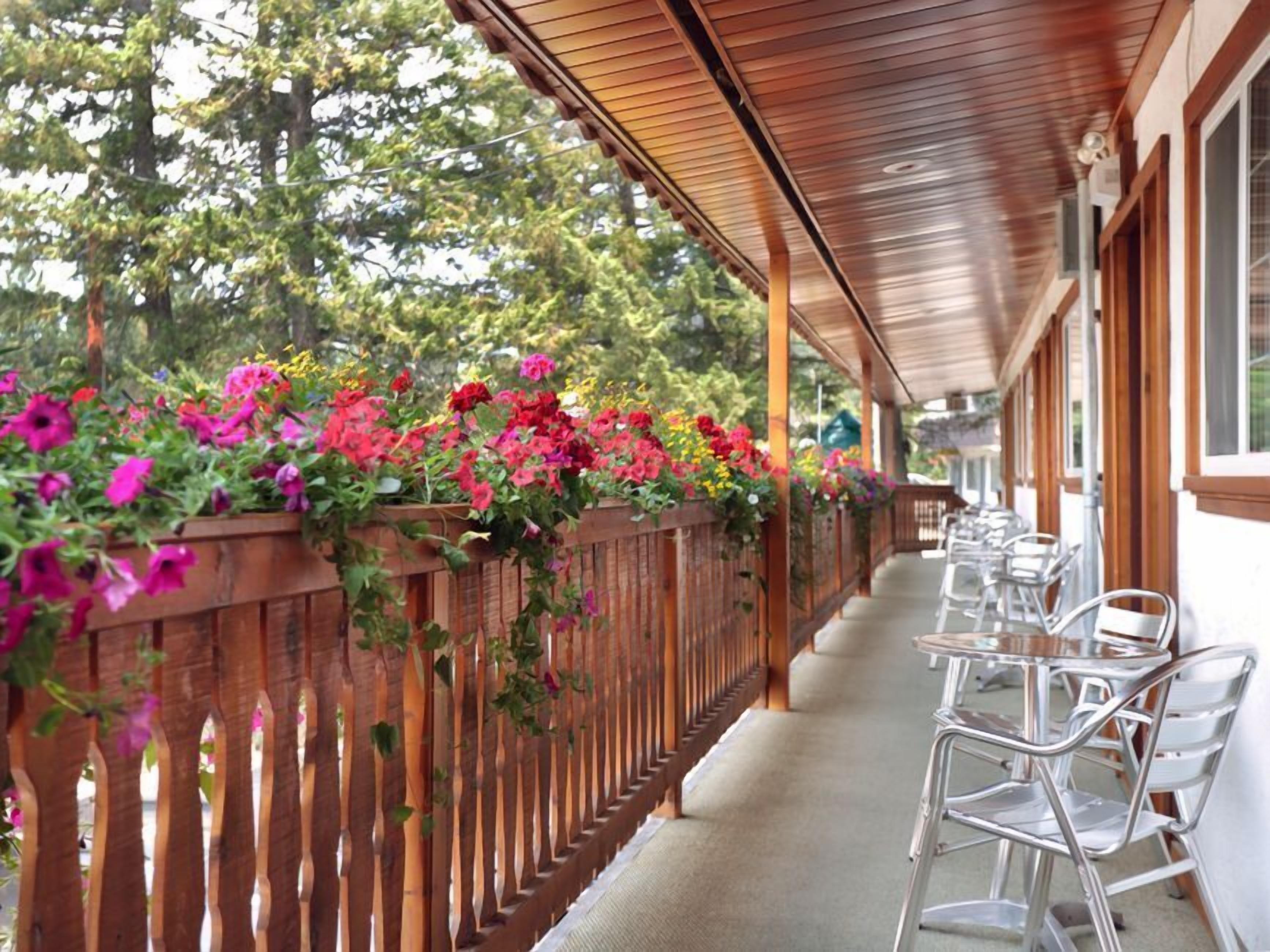 A covered outdoor seating area with metal chairs and a wooden fence adorned with colorful flowers.