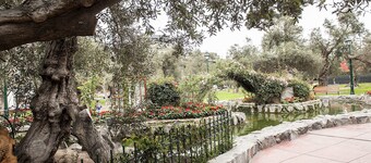 B & B Loft en Olivar de San Isidro