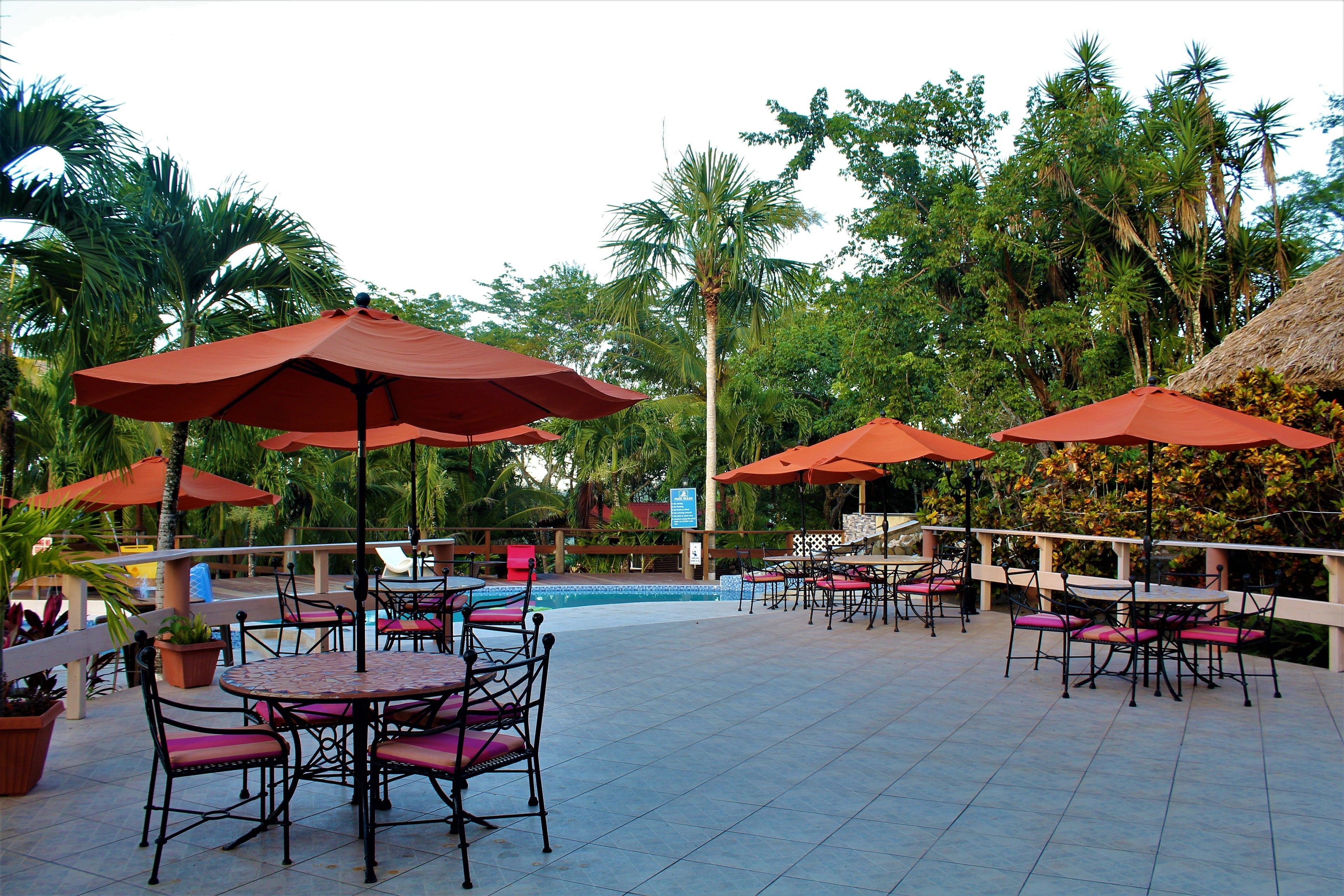 An outdoor pool area with multiple tables and chairs, surrounded by palm trees and umbrellas.