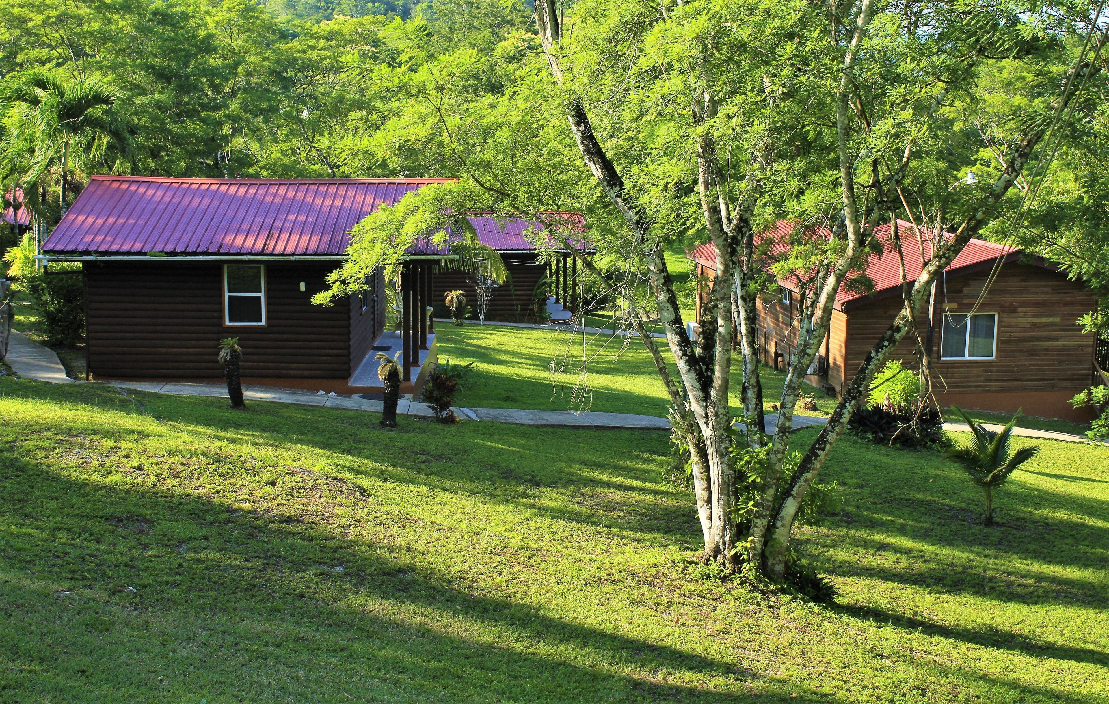 A wooden cabin with a red roof, surrounded by lush greenery and trees.