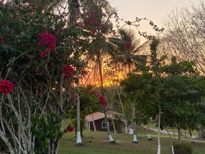Ferienhütte, 2 Doppelbetten | Blick auf den Garten