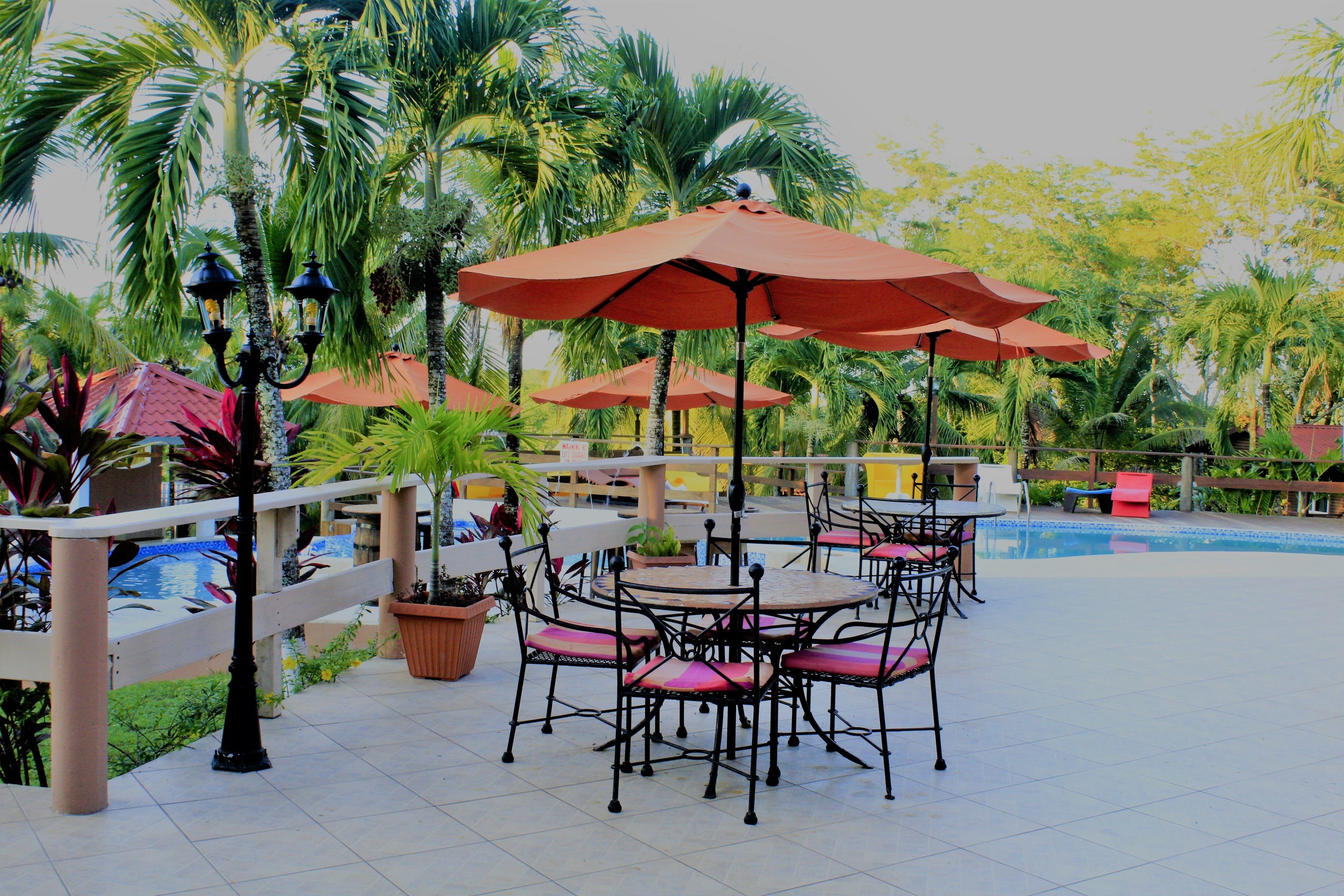 Un espace aménagé au bord de la piscine, avec des sièges d’extérieur, des parasols et des palmiers.