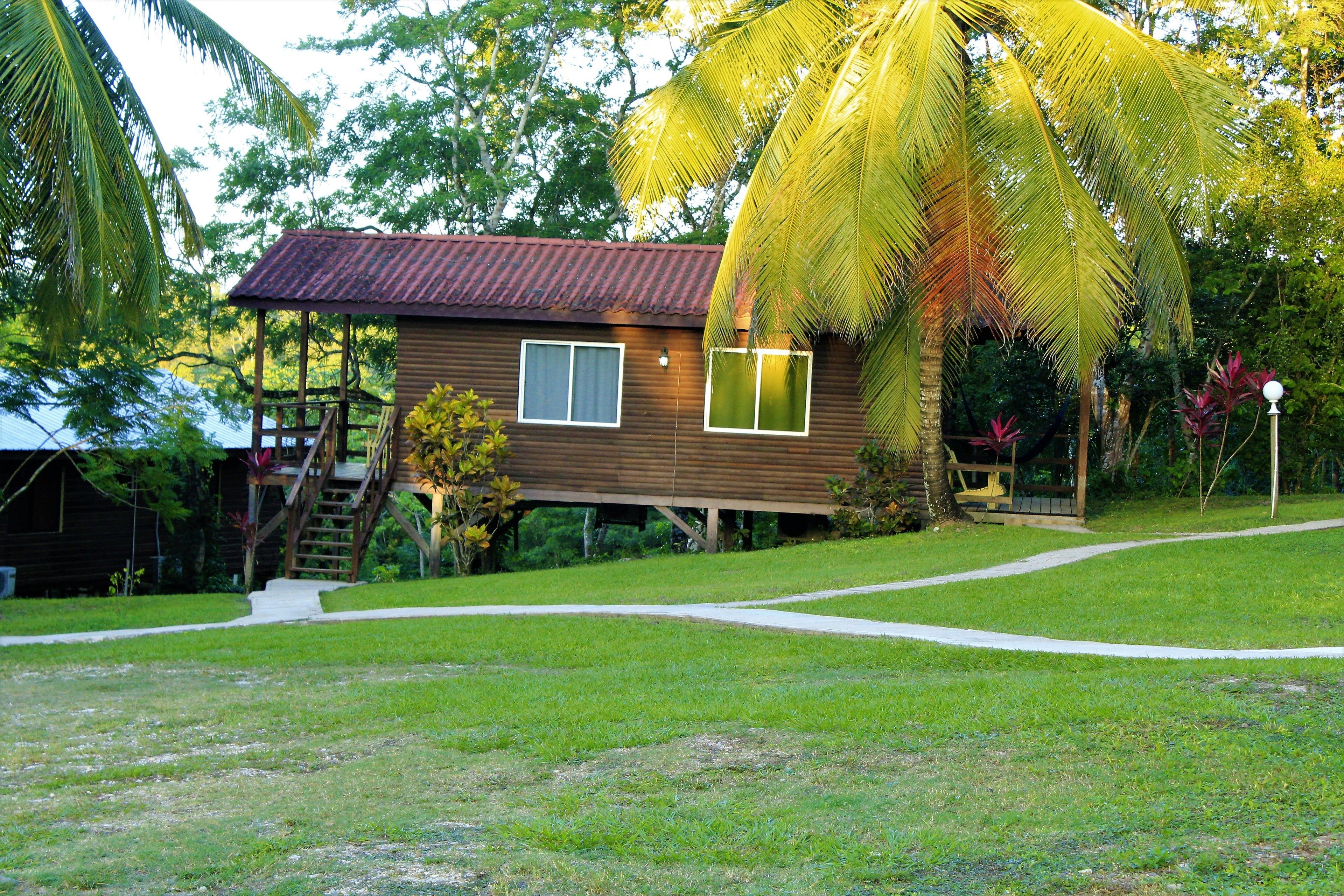 Una casa de madera con techo rojo, rodeada de abundante follaje y una palmera.