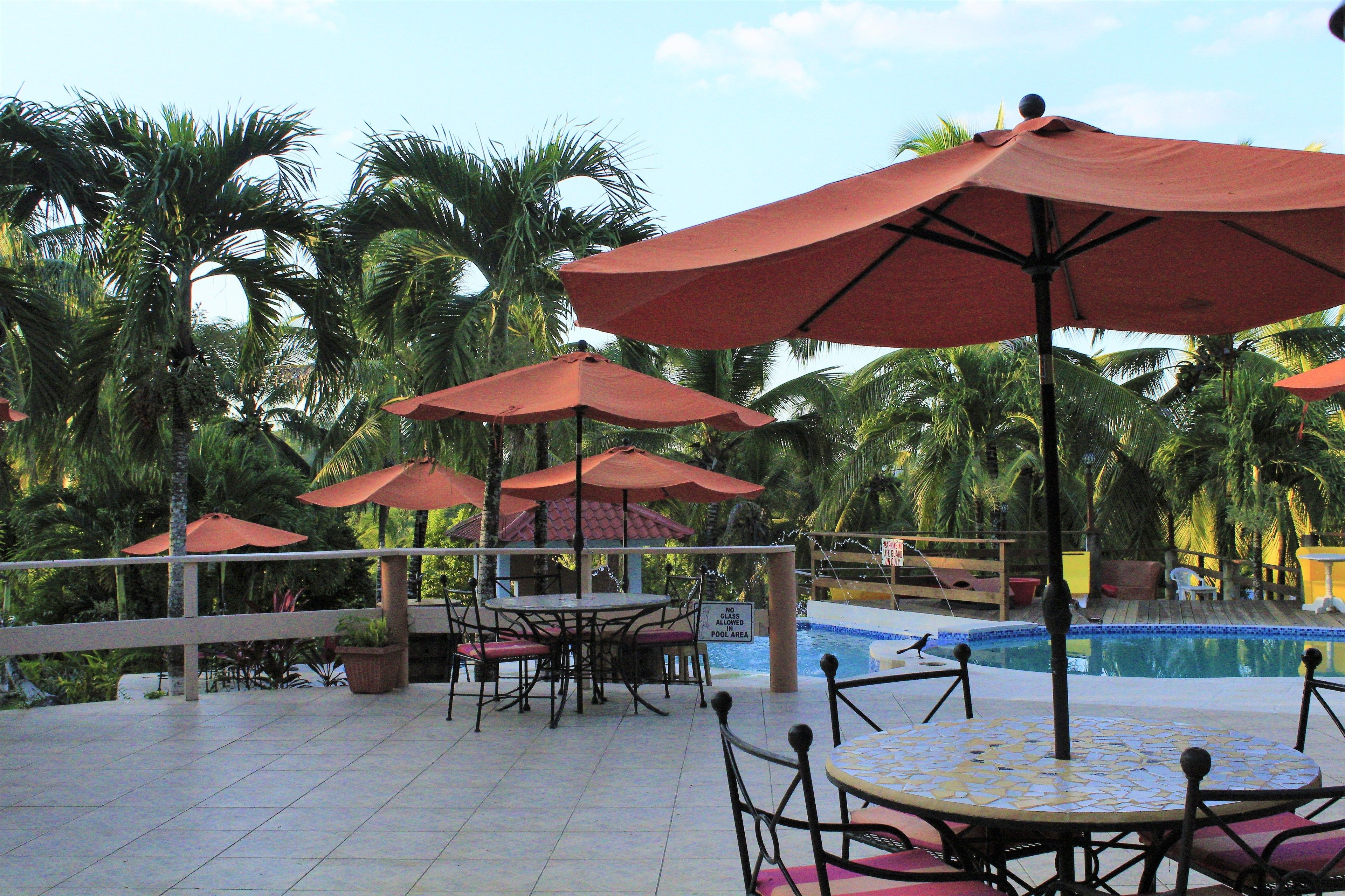 Zona de piscina con varias mesas y sillas, rodeada de palmeras y sombrillas rojas.