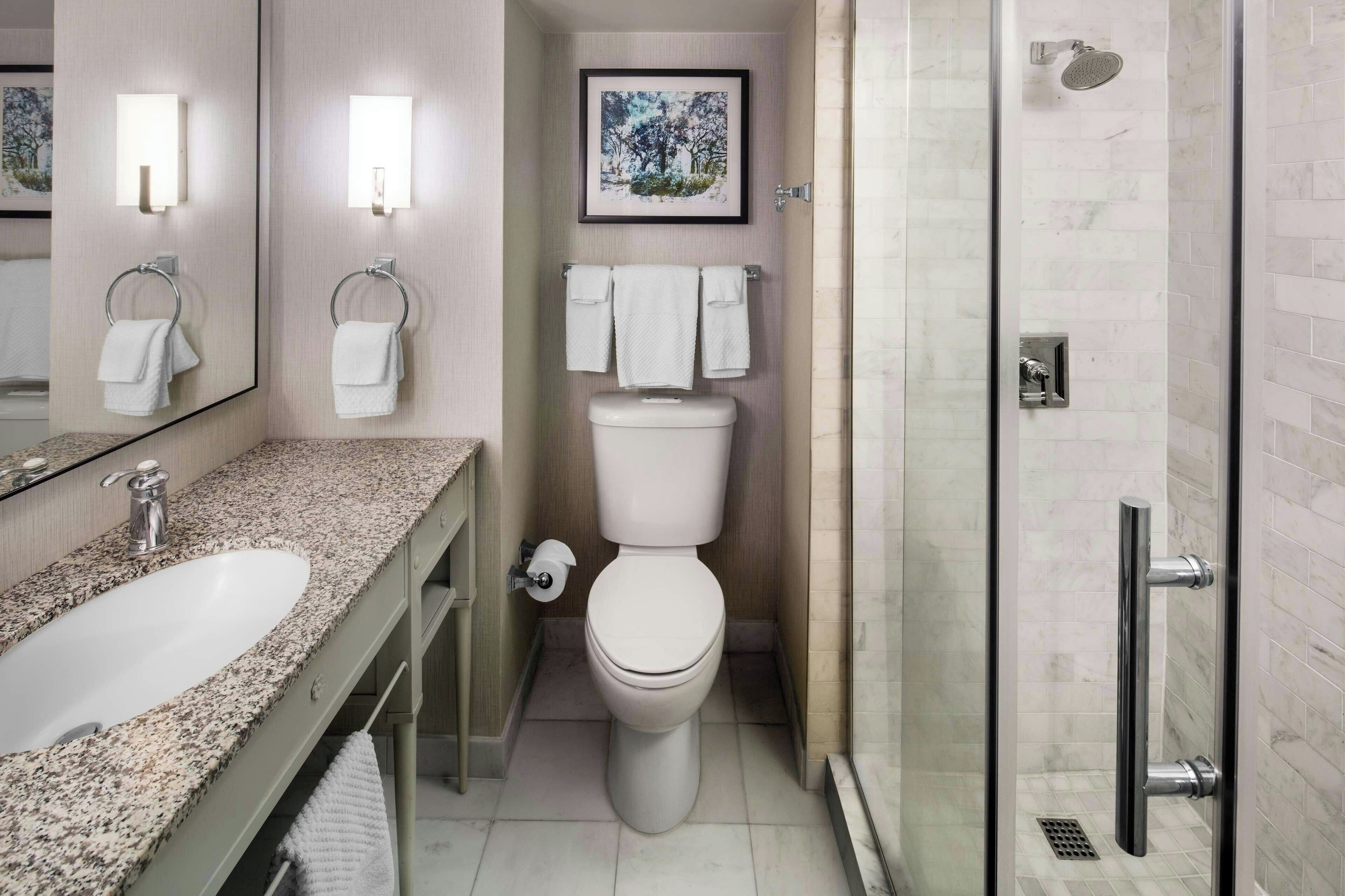 A modern bathroom with a granite countertop, a toilet, a shower, and a framed picture on the wall.