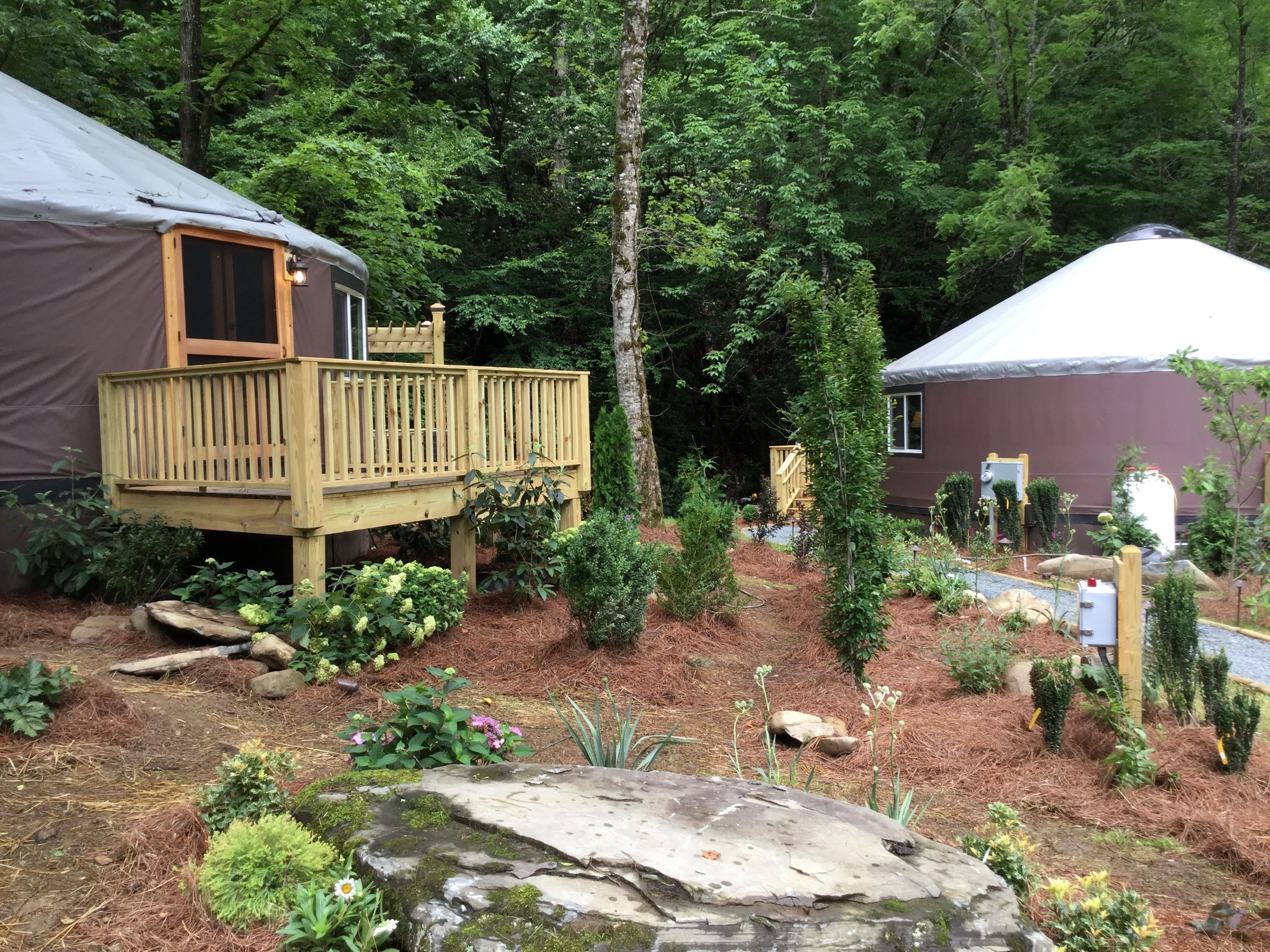A cabin with a deck, surrounded by a forested area with various plants and a rock.
