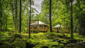 Una cabaña en un bosque con un arroyo, rodeada de árboles y follaje.