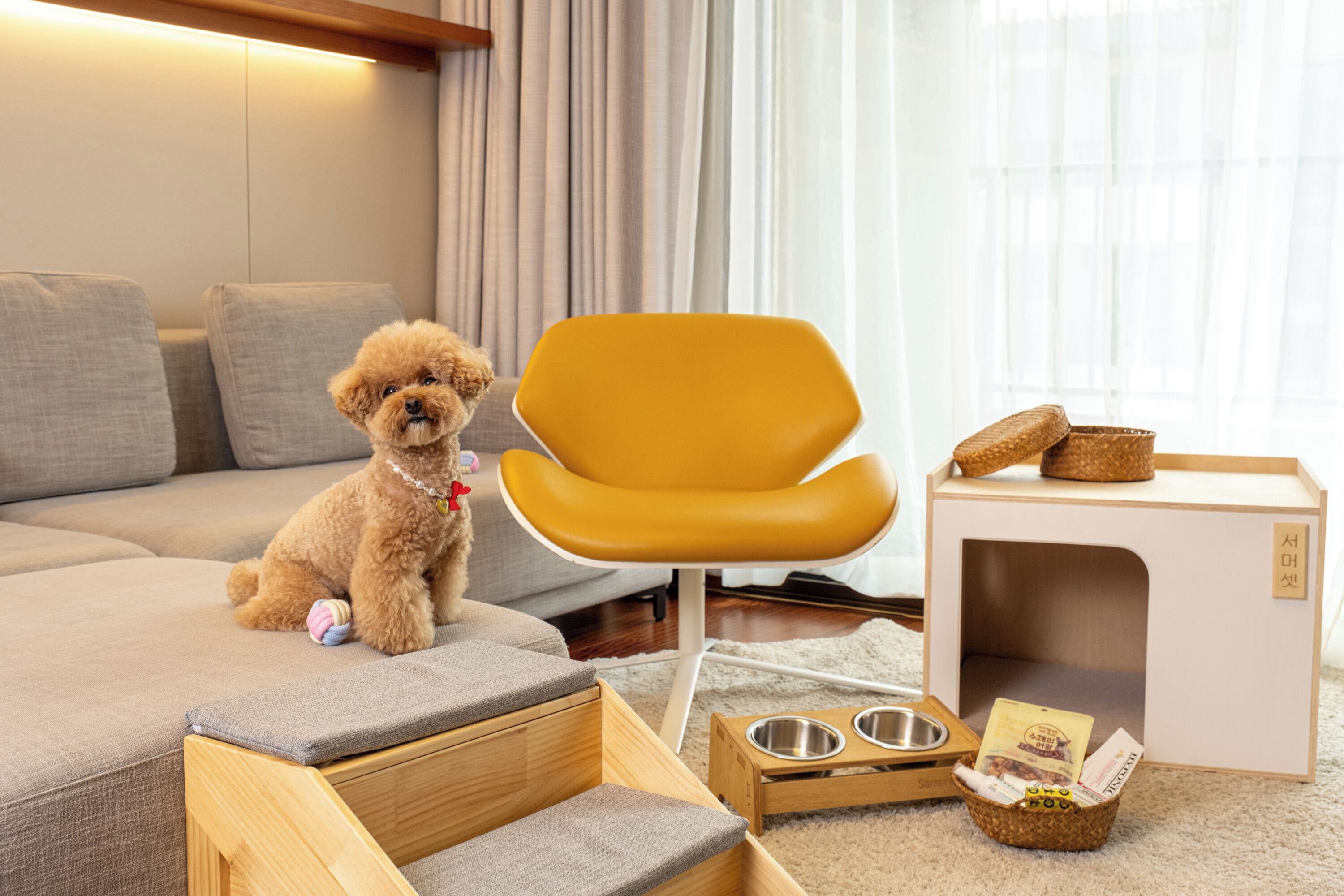 Pet Friendly Room