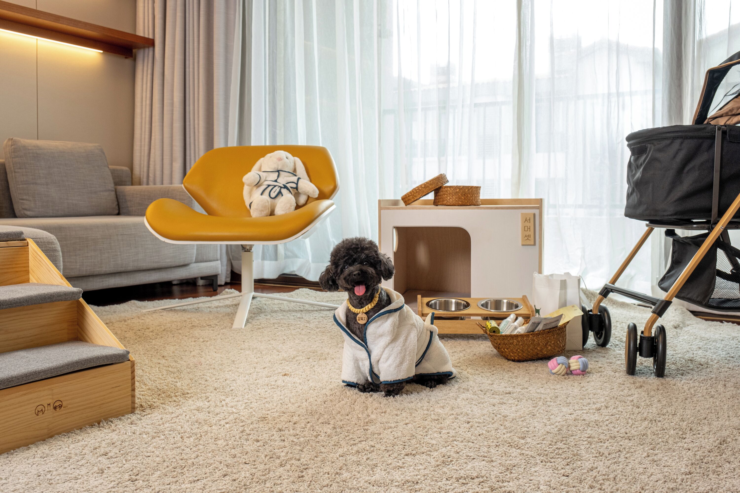 A cozy living room with a dog wearing a sweater, a yellow chair, a pet bed, and a baby stroller.