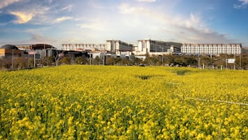 Vườn