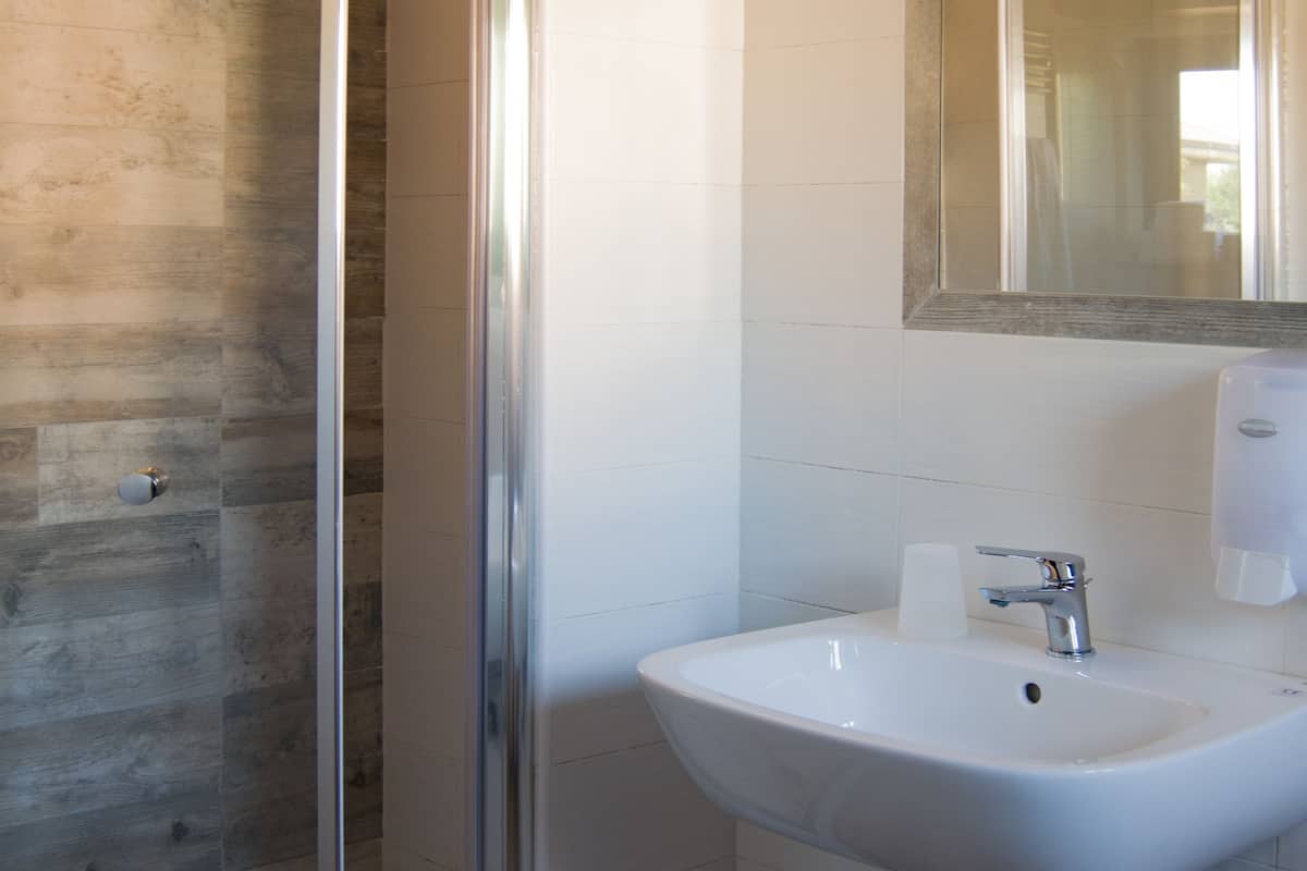 economy double room | bathroom | shower, rainfall showerhead, free toiletries, hair dryer