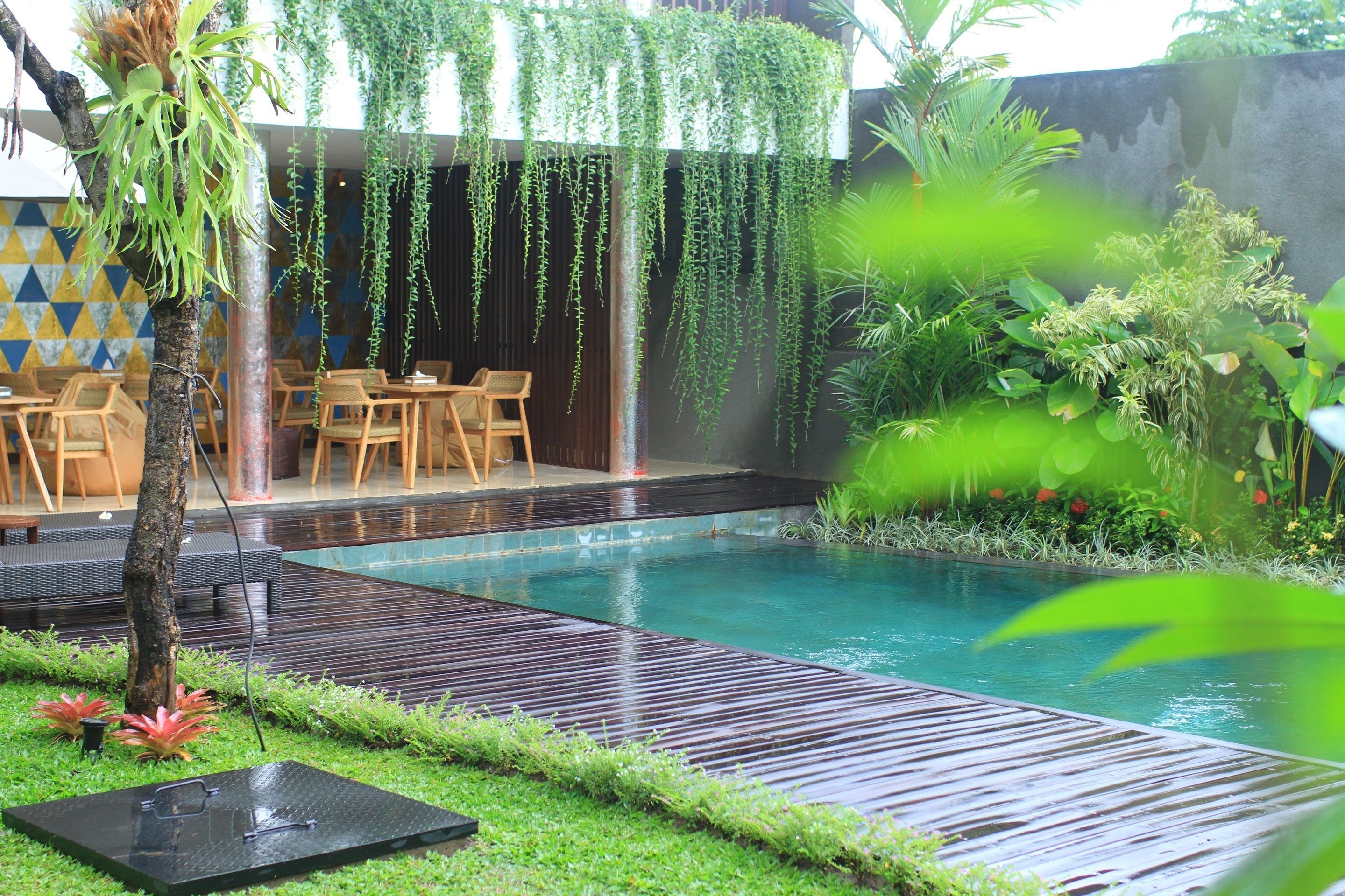 outdoor pool, pool umbrellas, pool loungers