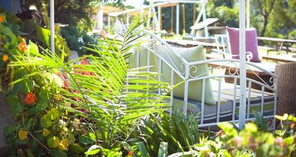 Boulevard Inn Mt Meru