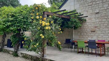 A stone building with a pergola covered in yellow flowers, outdoor seating with colorful chairs, and a gravel path.