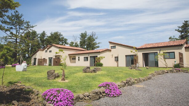 Zona residencial con varias casas de techo de tejas y césped bien cuidado.