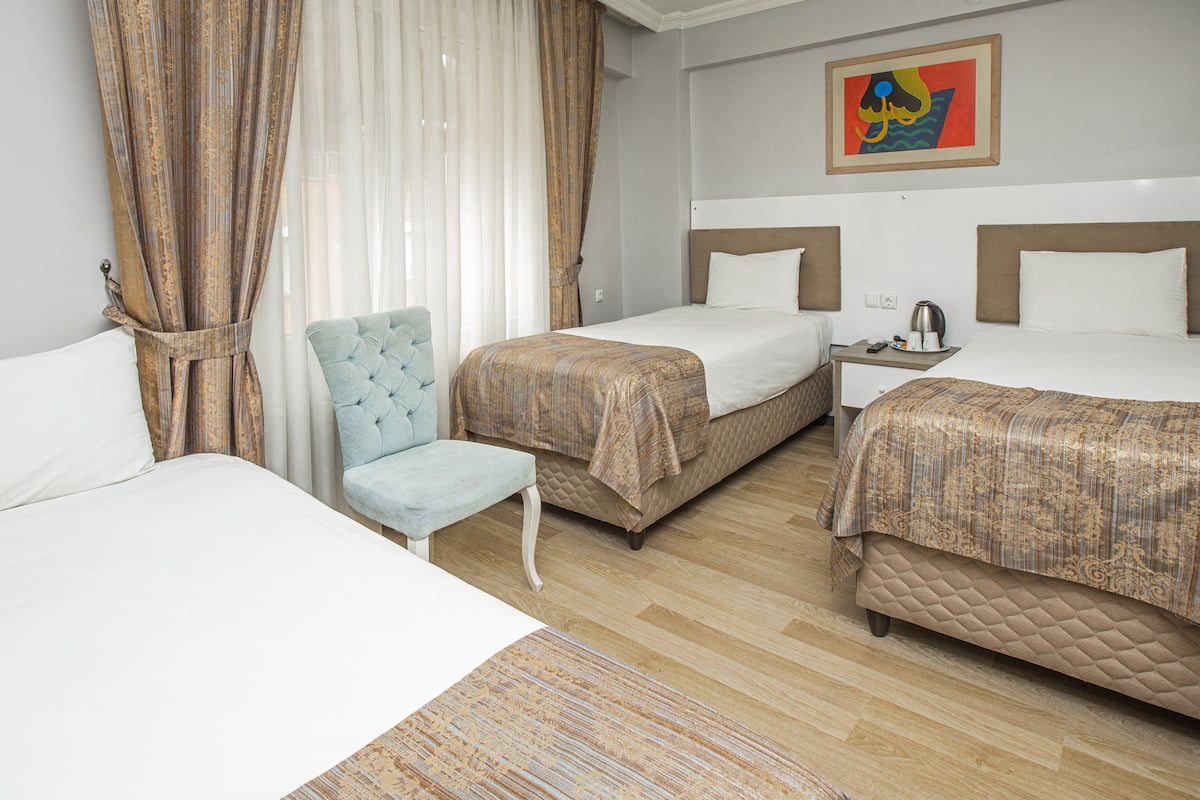 Economy Triple Room, 3 Single Beds, Non Smoking