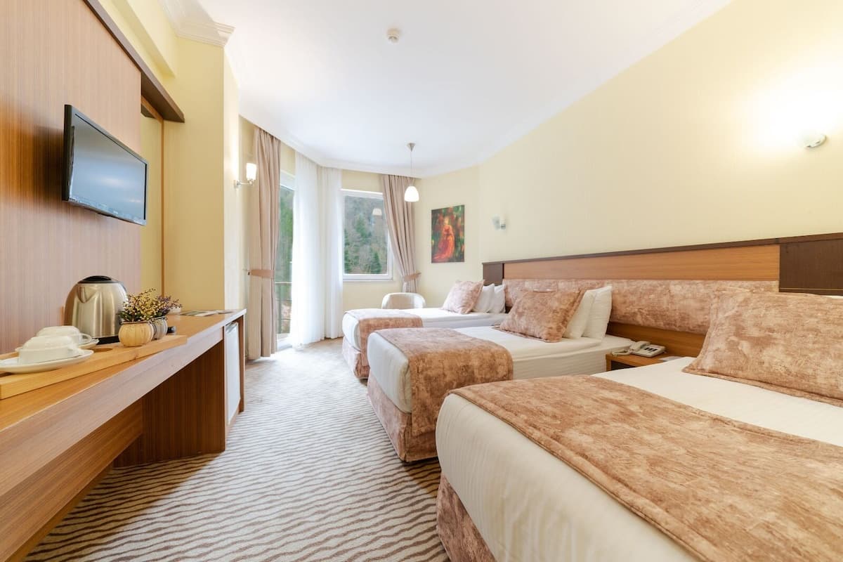 Ein Hotelzimmer mit zwei Betten, einem Schreibtisch, einem Telefon, einem Fernseher und einem Fenster mit Vorhängen.