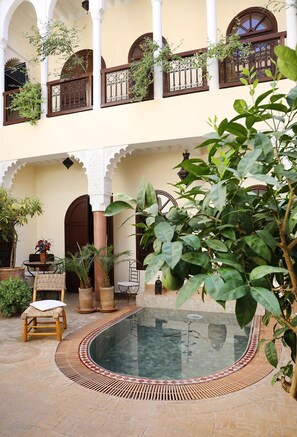 Outdoor pool, pool umbrellas, pool loungers