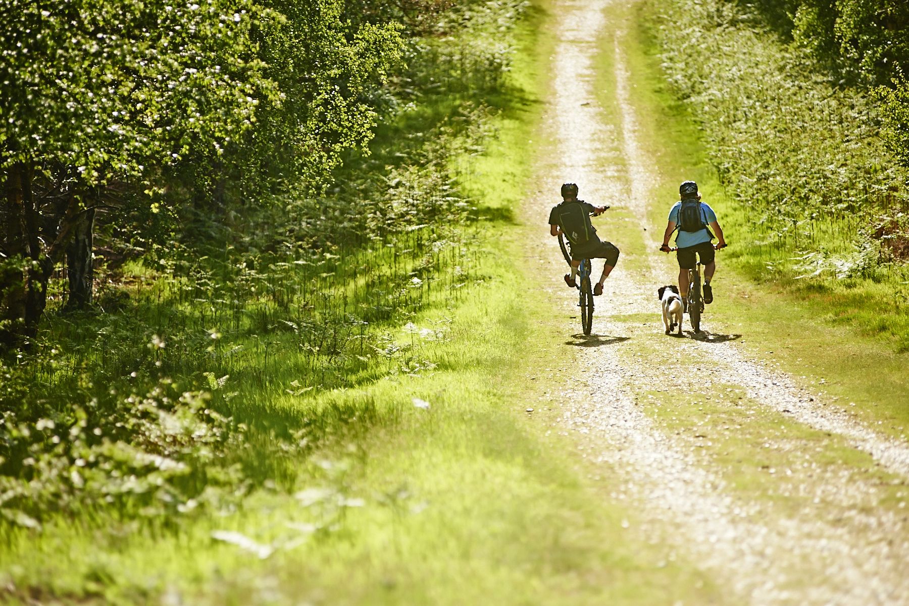 children’s activities