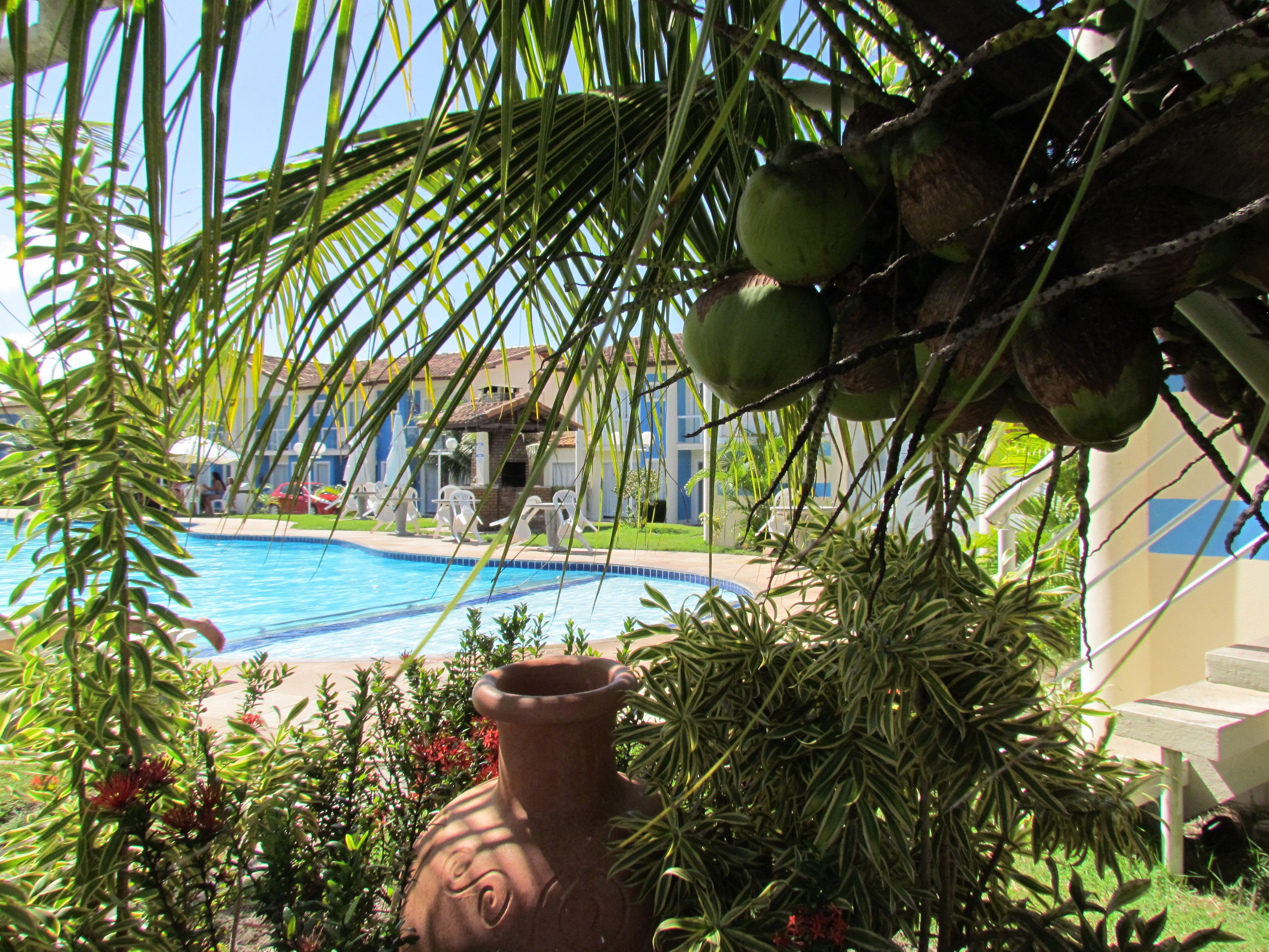A pool surrounded by palm trees and a building with a tiled roof.