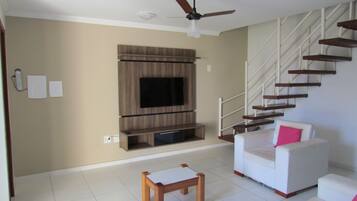 Flat-screen TV